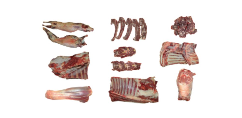 lamb cuts 2